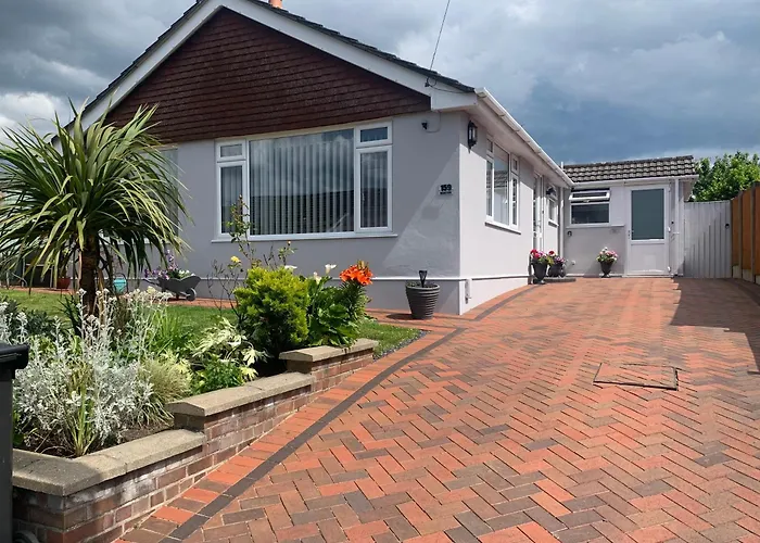 Payne\'S Pad